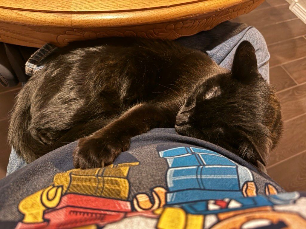 Mastodon Post 2024-09-28