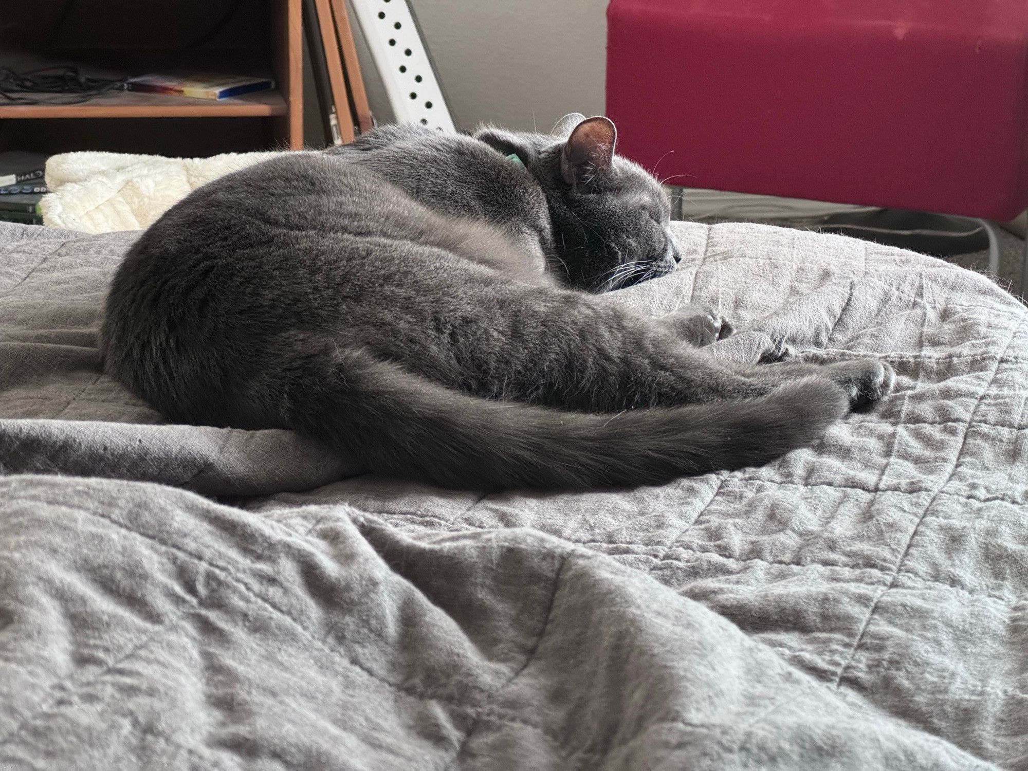 Bluesky Post 2025-01-25