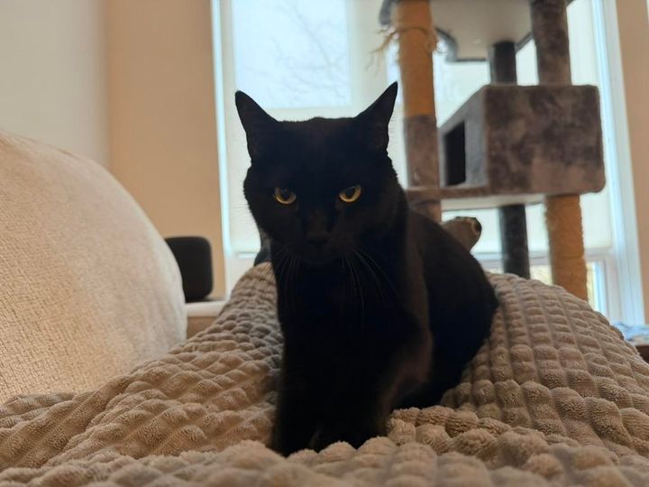 Mastodon Post 2026-01-17