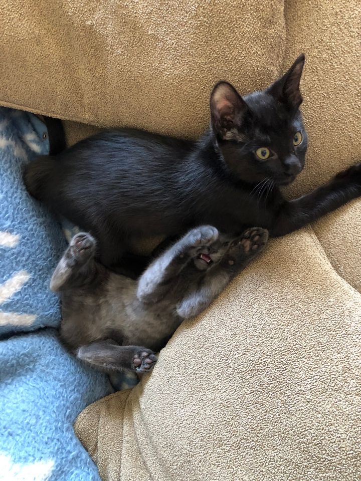 Bluesky Post 2025-06-08