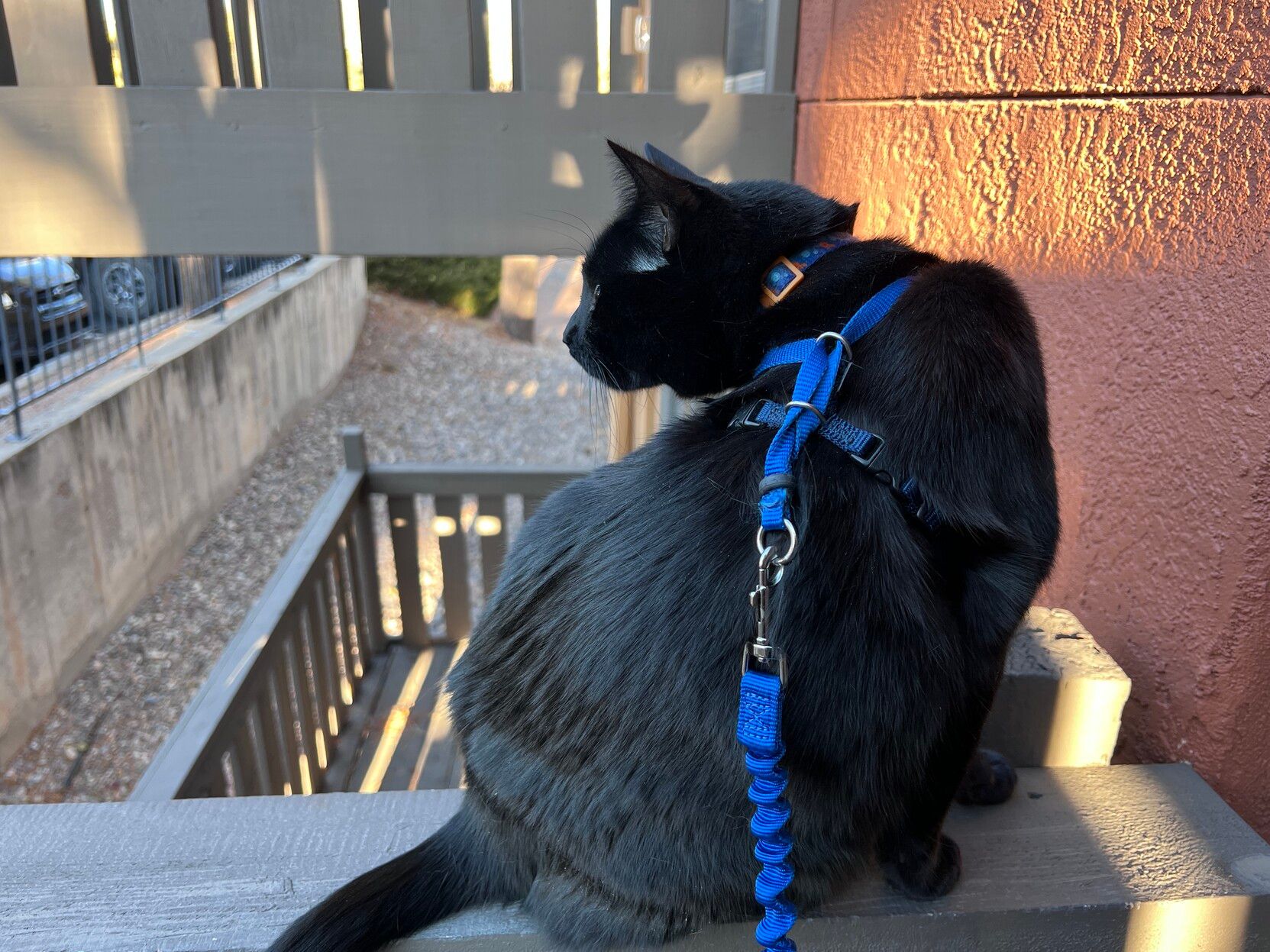 Mastodon Post 2023-08-26