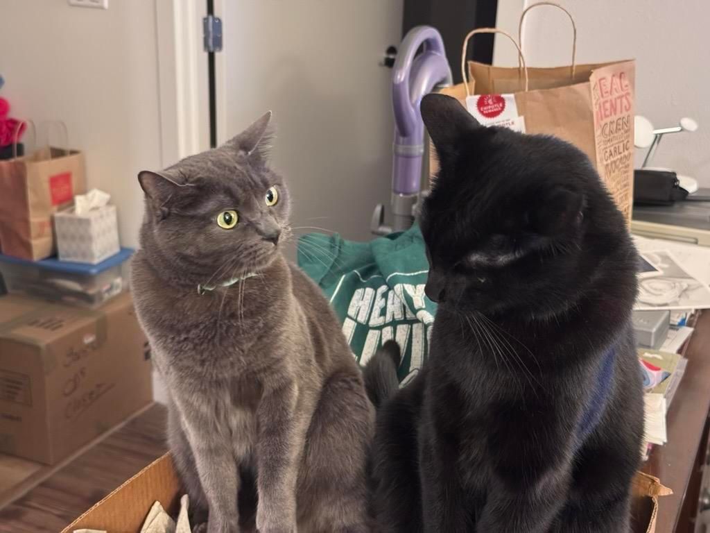 Mastodon Post 2025-07-20