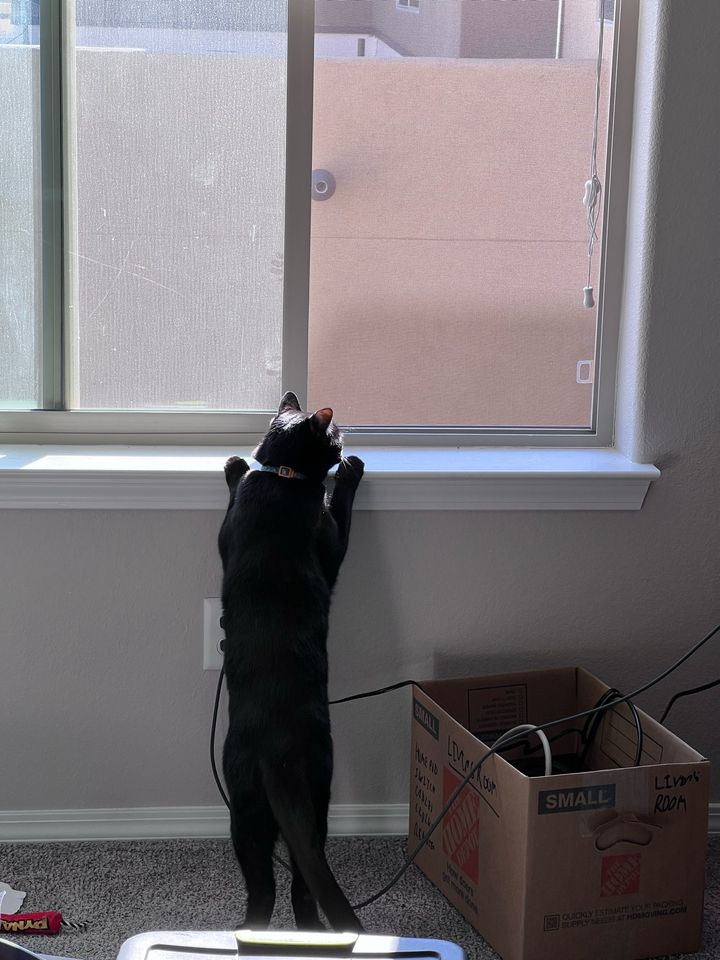 Bluesky Post 2023-09-23