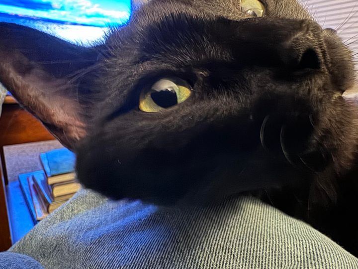 Mastodon Post 2025-05-10