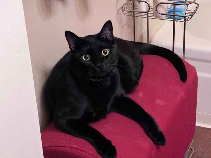 Bluesky Post 2023-10-27