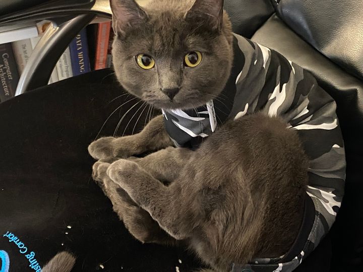 Mastodon Post 2023-05-13