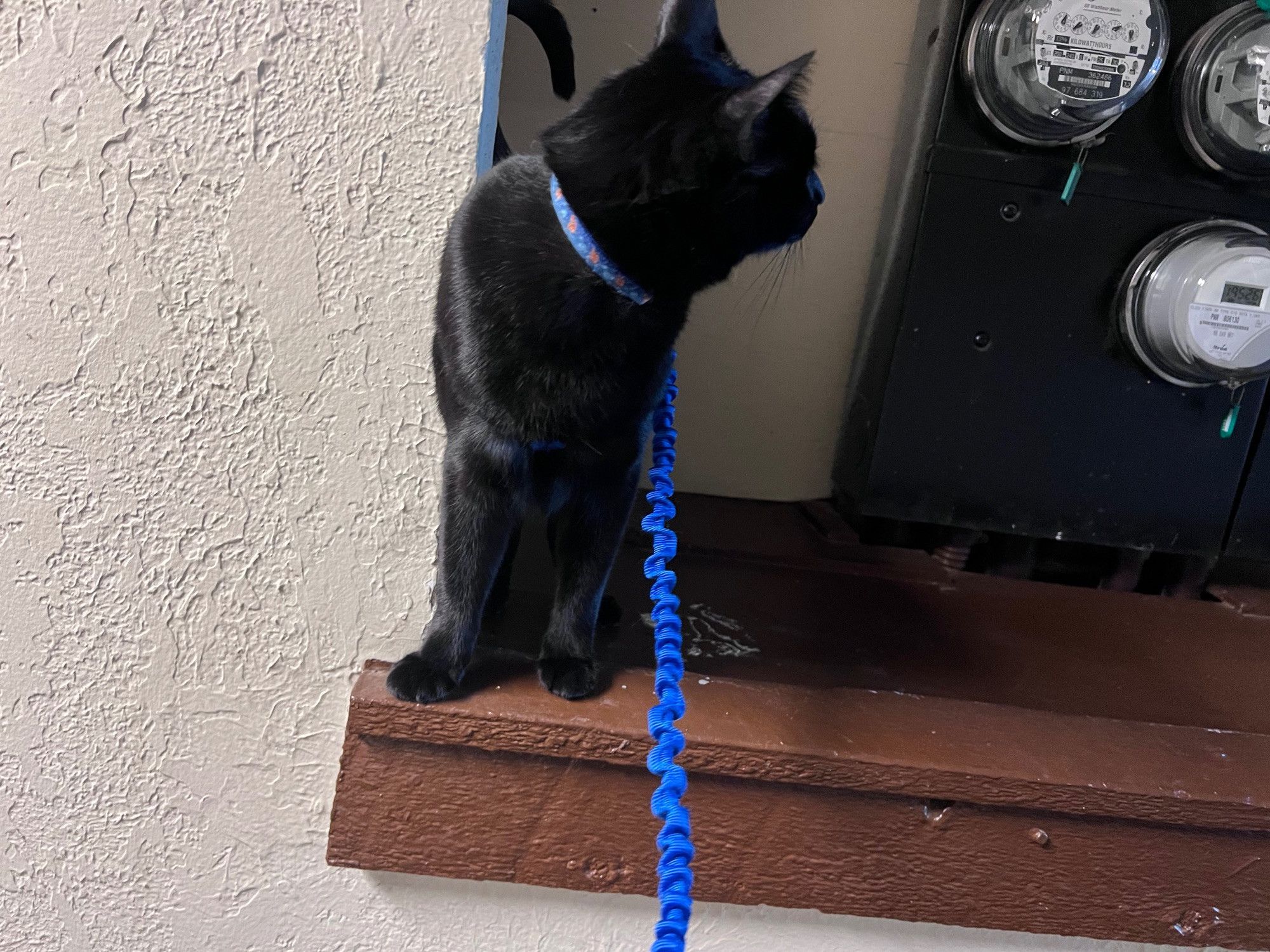 Bluesky Post 2024-09-14