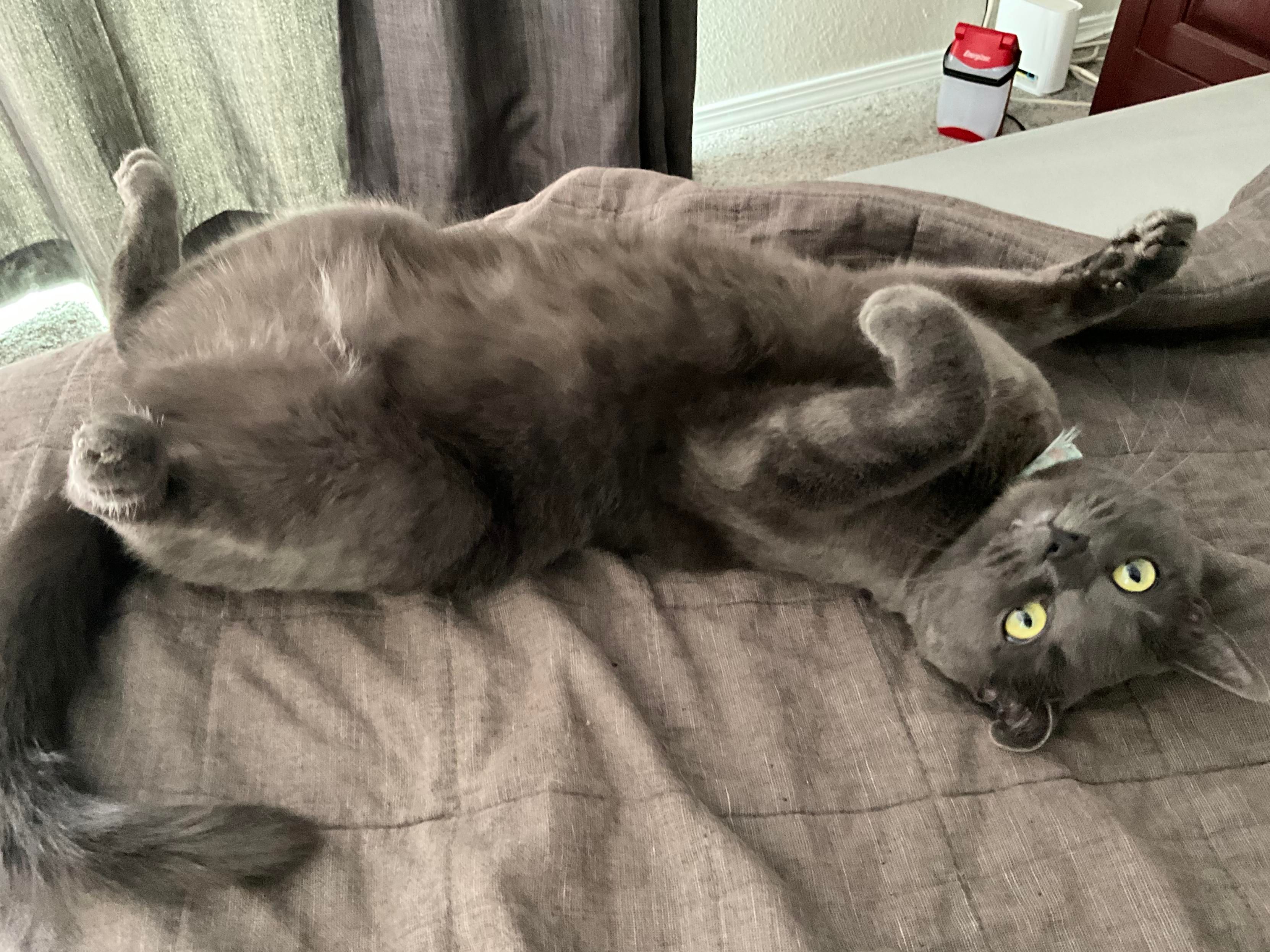 Mastodon Post 2025-05-03