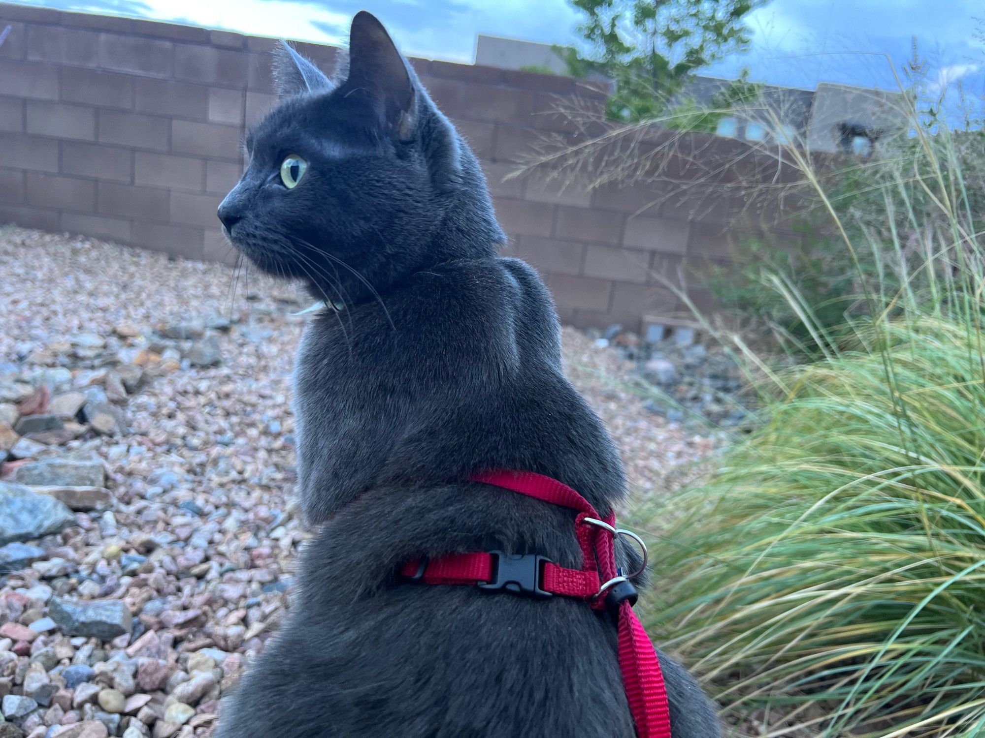 Bluesky Post 2023-09-02