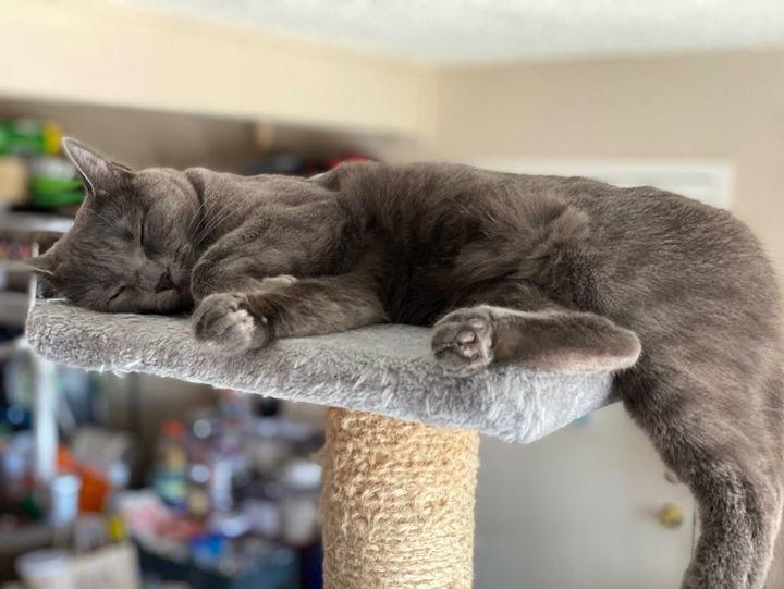 Bluesky Post 2023-11-25