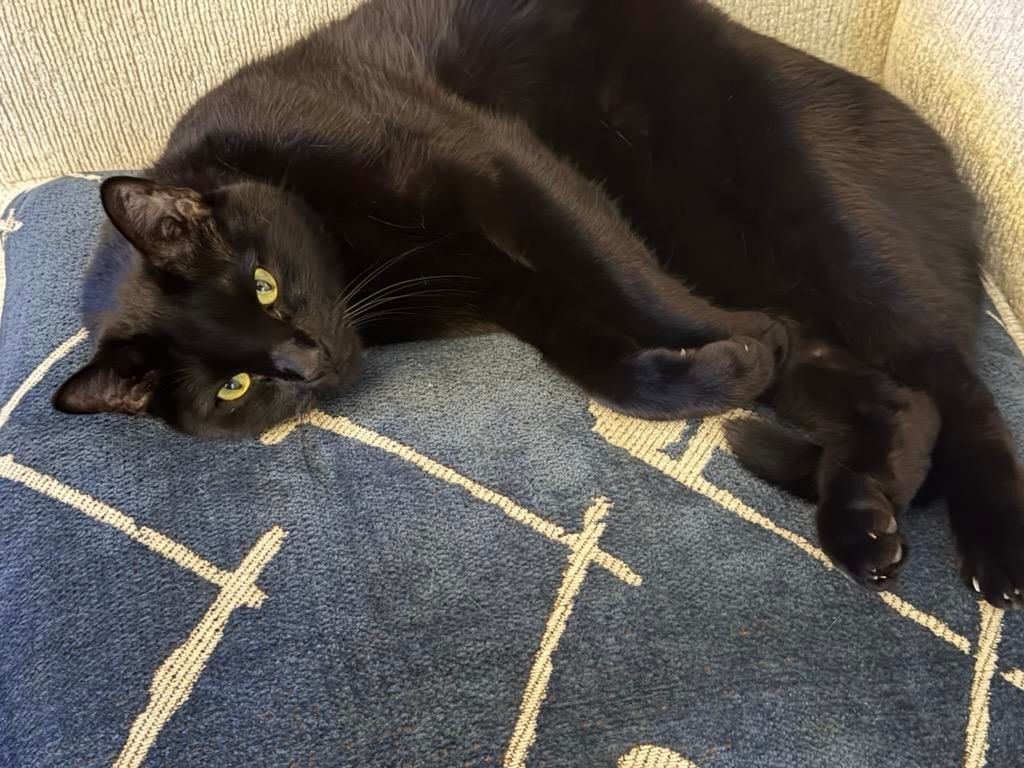 Mastodon Post 2025-12-20