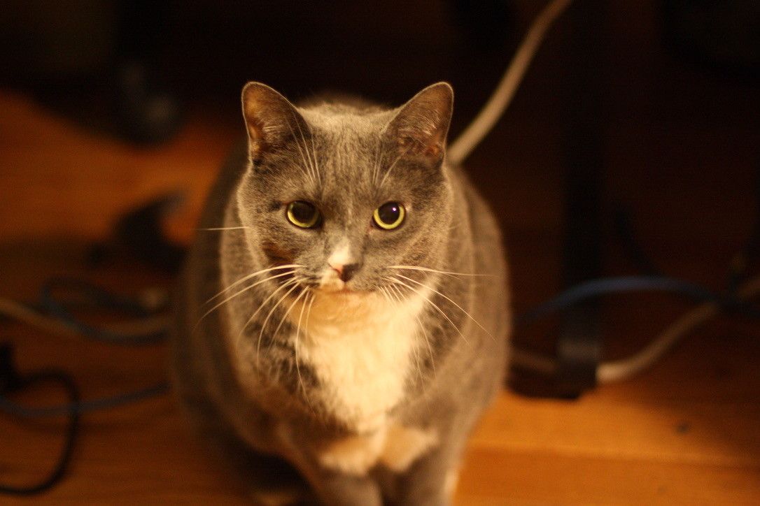 Mastodon Post 2023-12-23