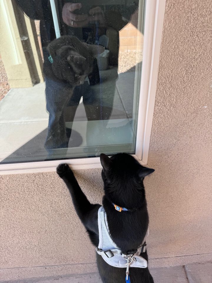 Bluesky Post 2024-10-12