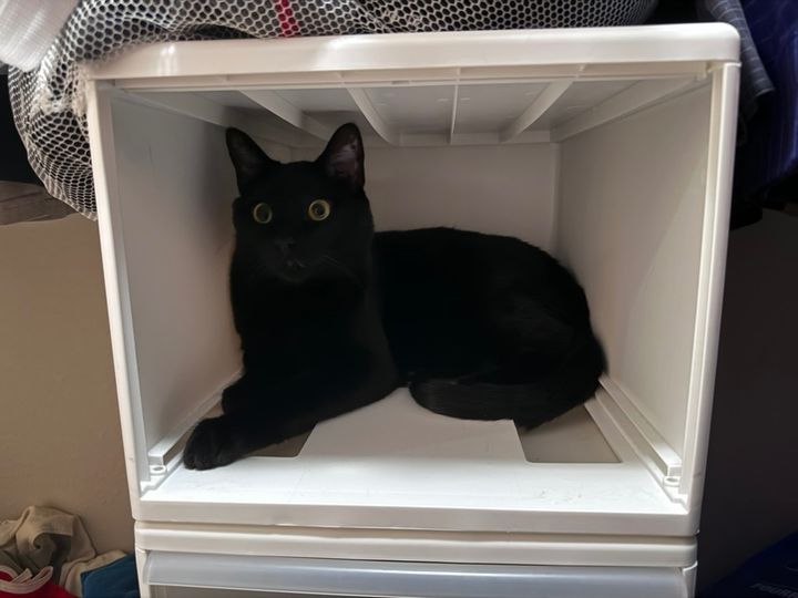 Bluesky Post 2023-12-02