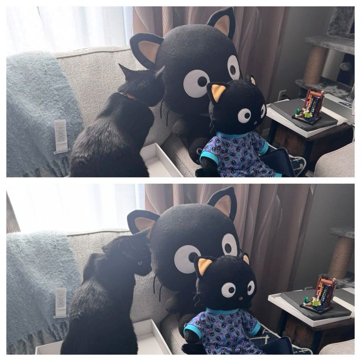 Bluesky Post 2024-12-21