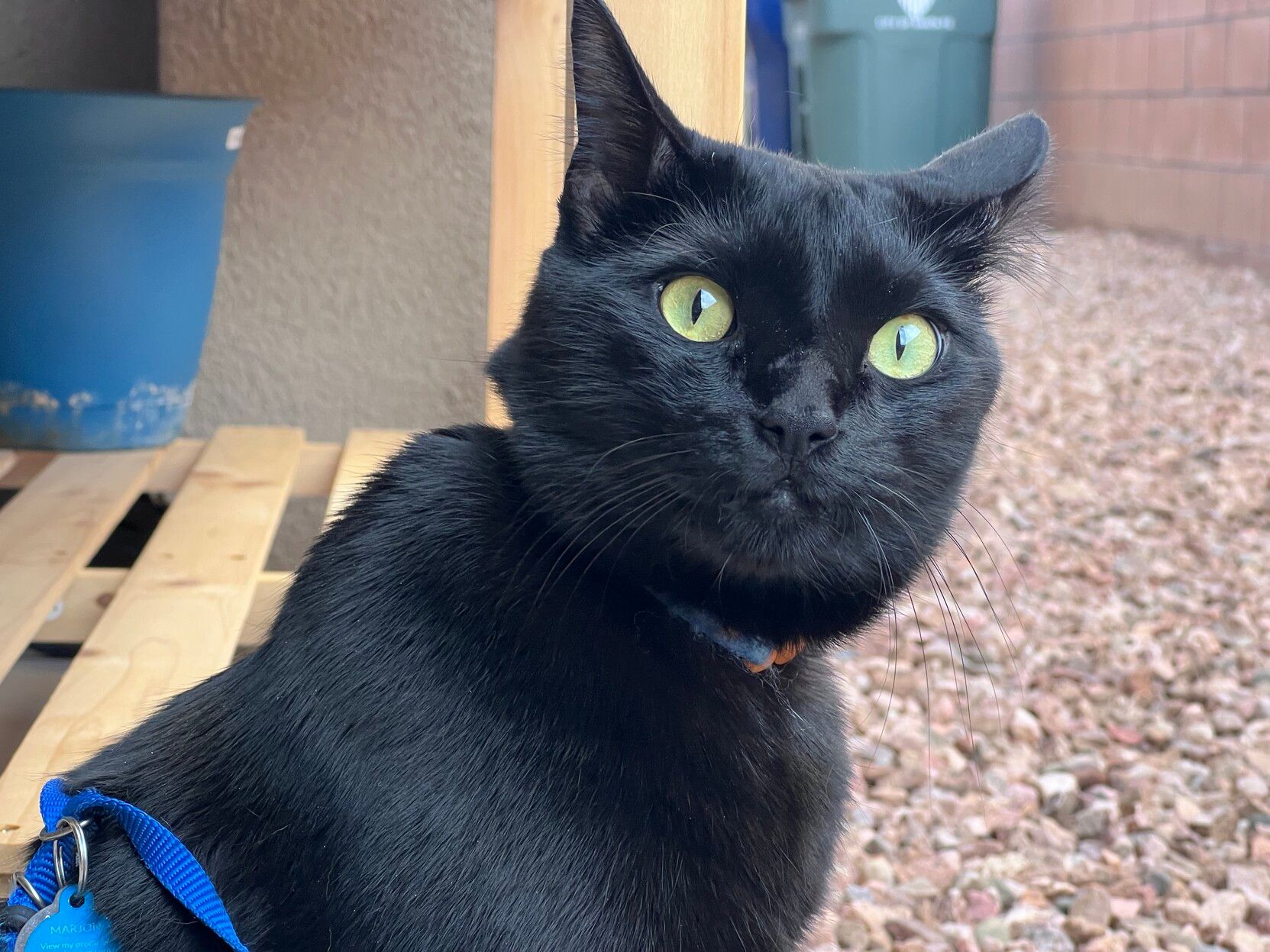 Mastodon Post 2023-09-09