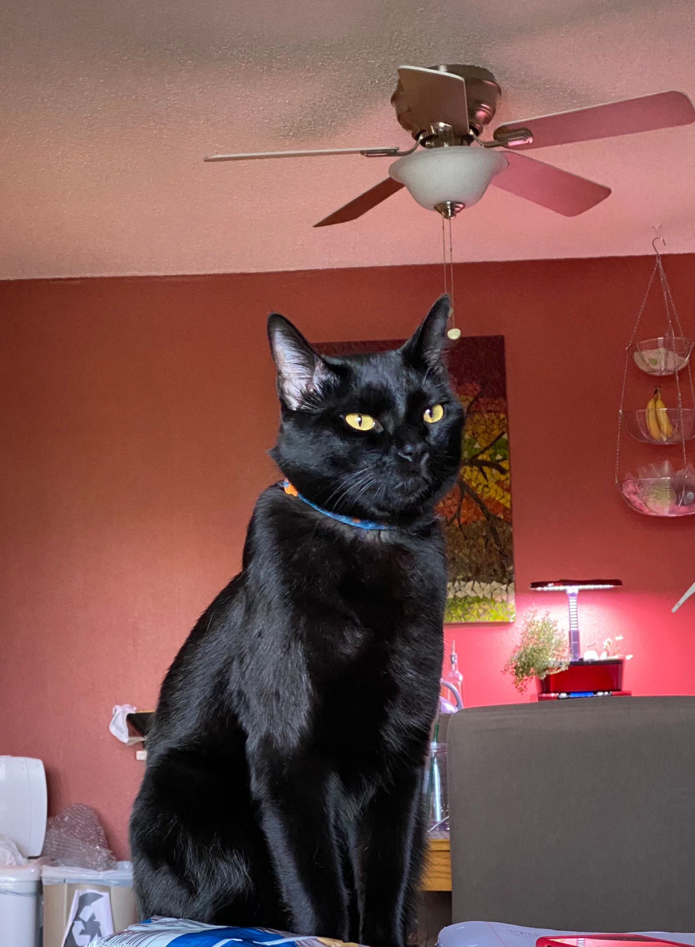 Mastodon Post 2024-11-09