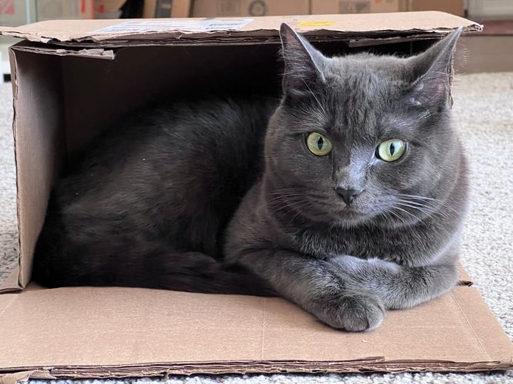 Mastodon Post 2023-04-16