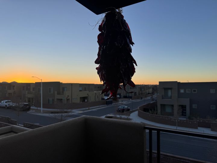 Bluesky Post 2024-12-24