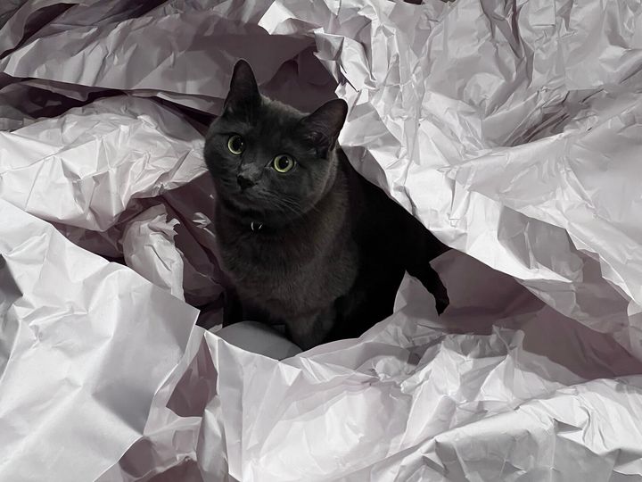 Mastodon Post 2023-04-29