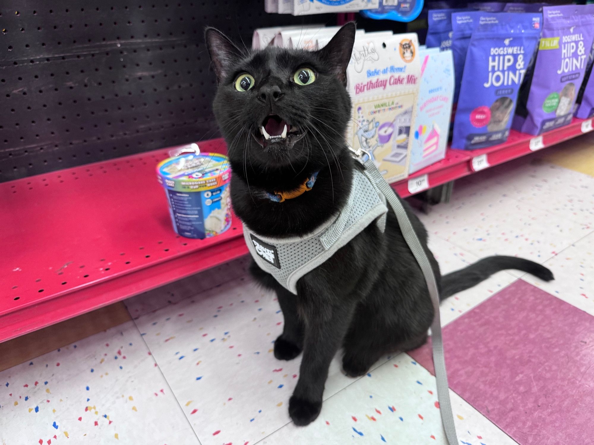 Bluesky Post 2024-05-18