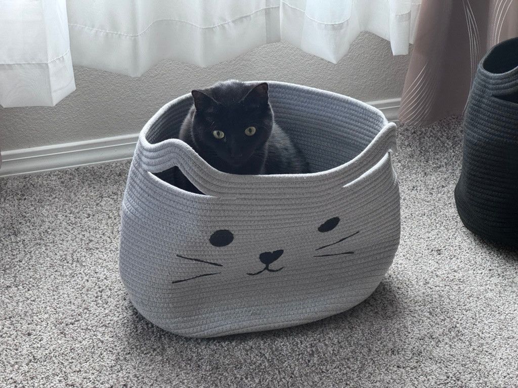 Bluesky Post 2024-02-10