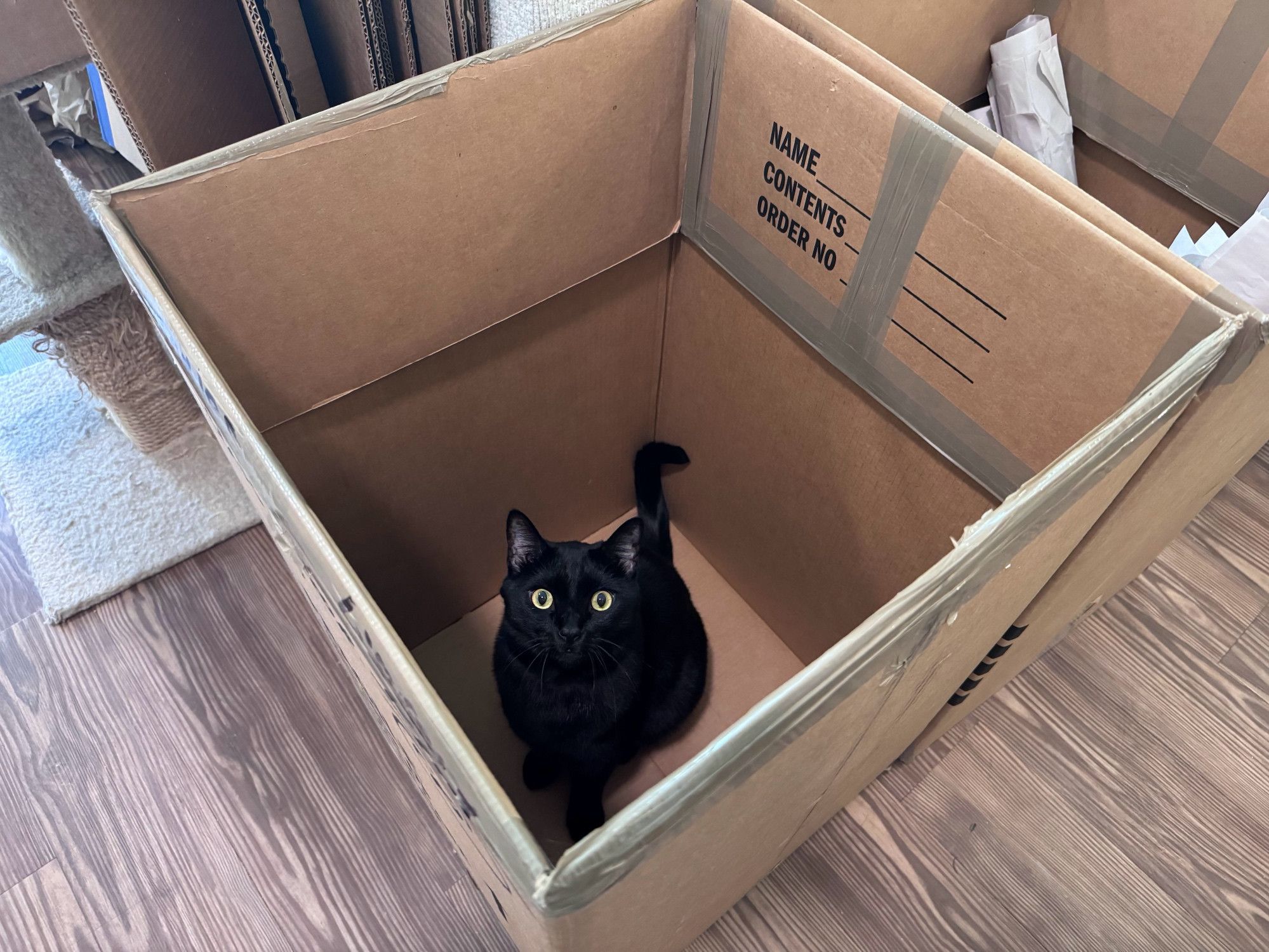 Bluesky Post 2025-08-02