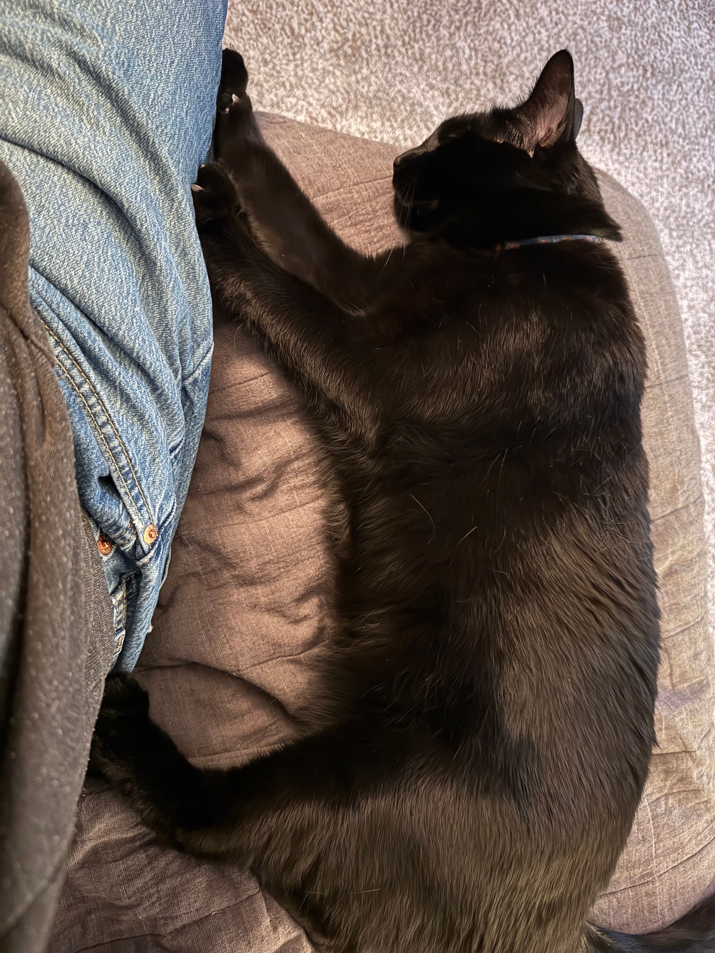 Mastodon Post 2024-11-06