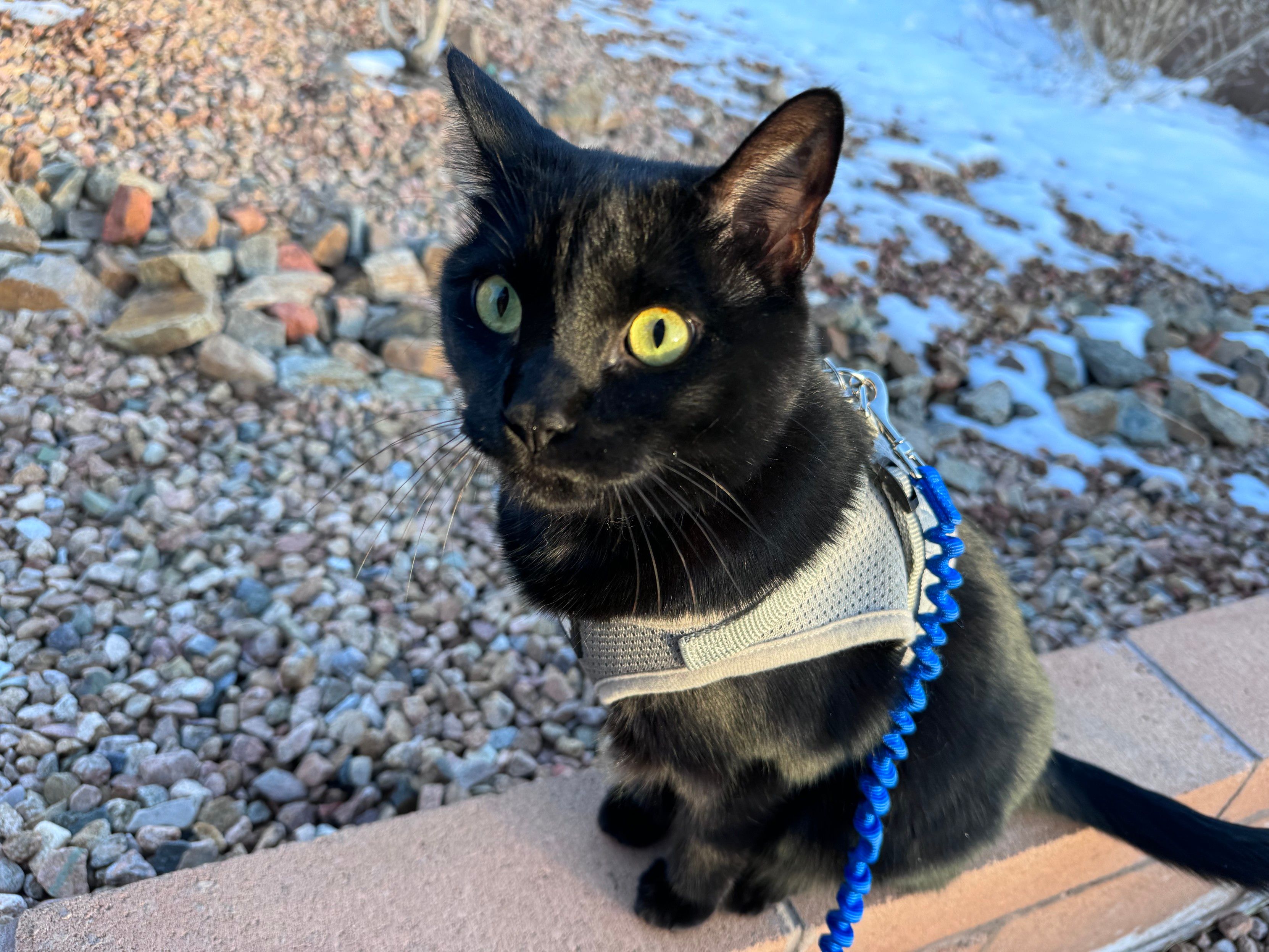 Mastodon Post 2024-03-16