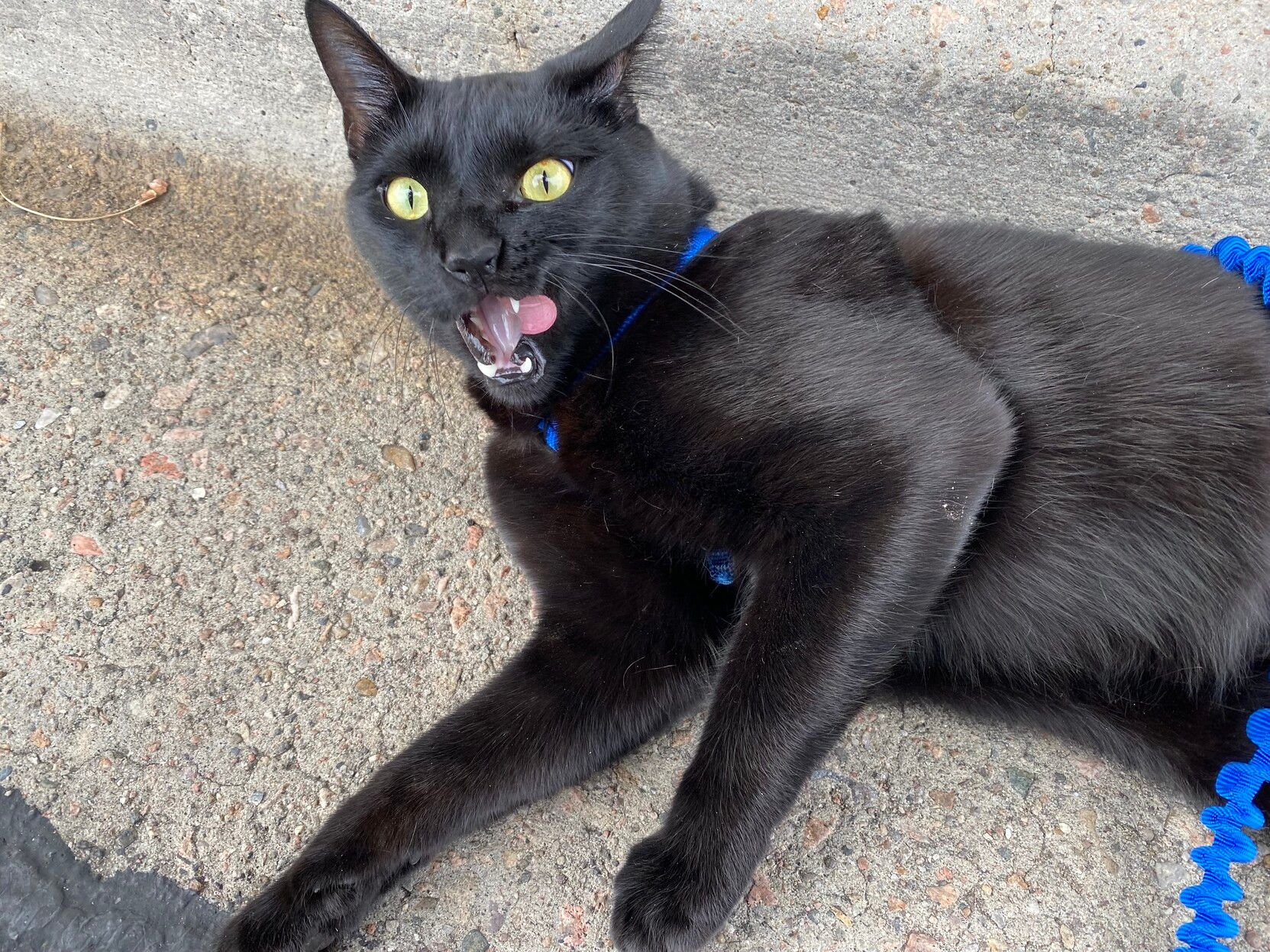 Mastodon Post 2023-07-01