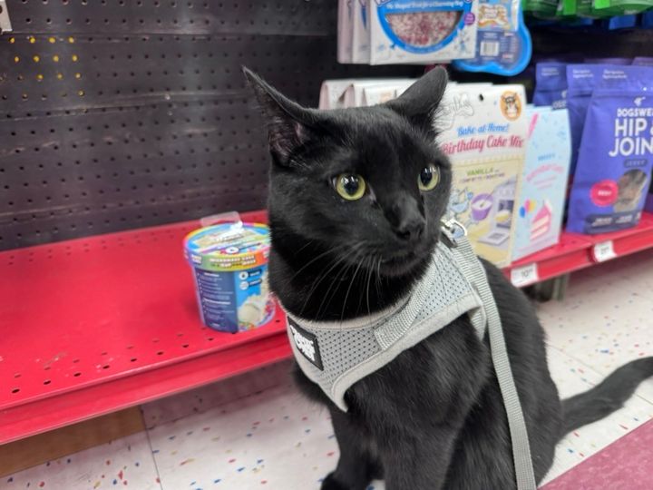 Mastodon Post 2023-11-18