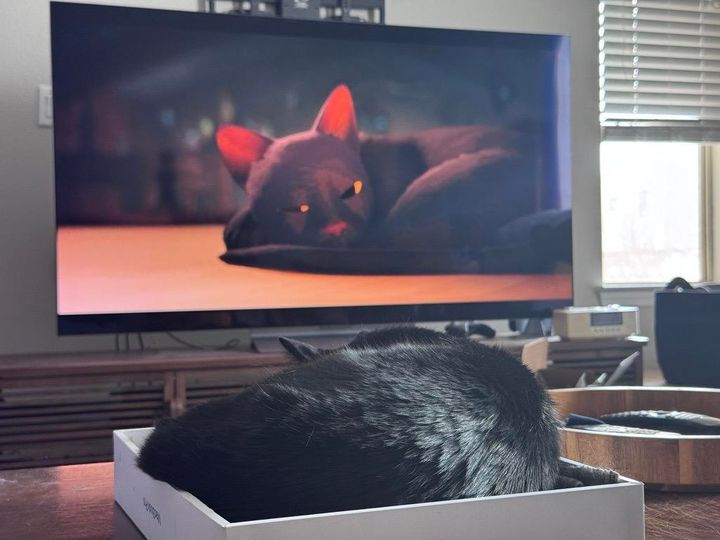 Mastodon Post 2025-03-29