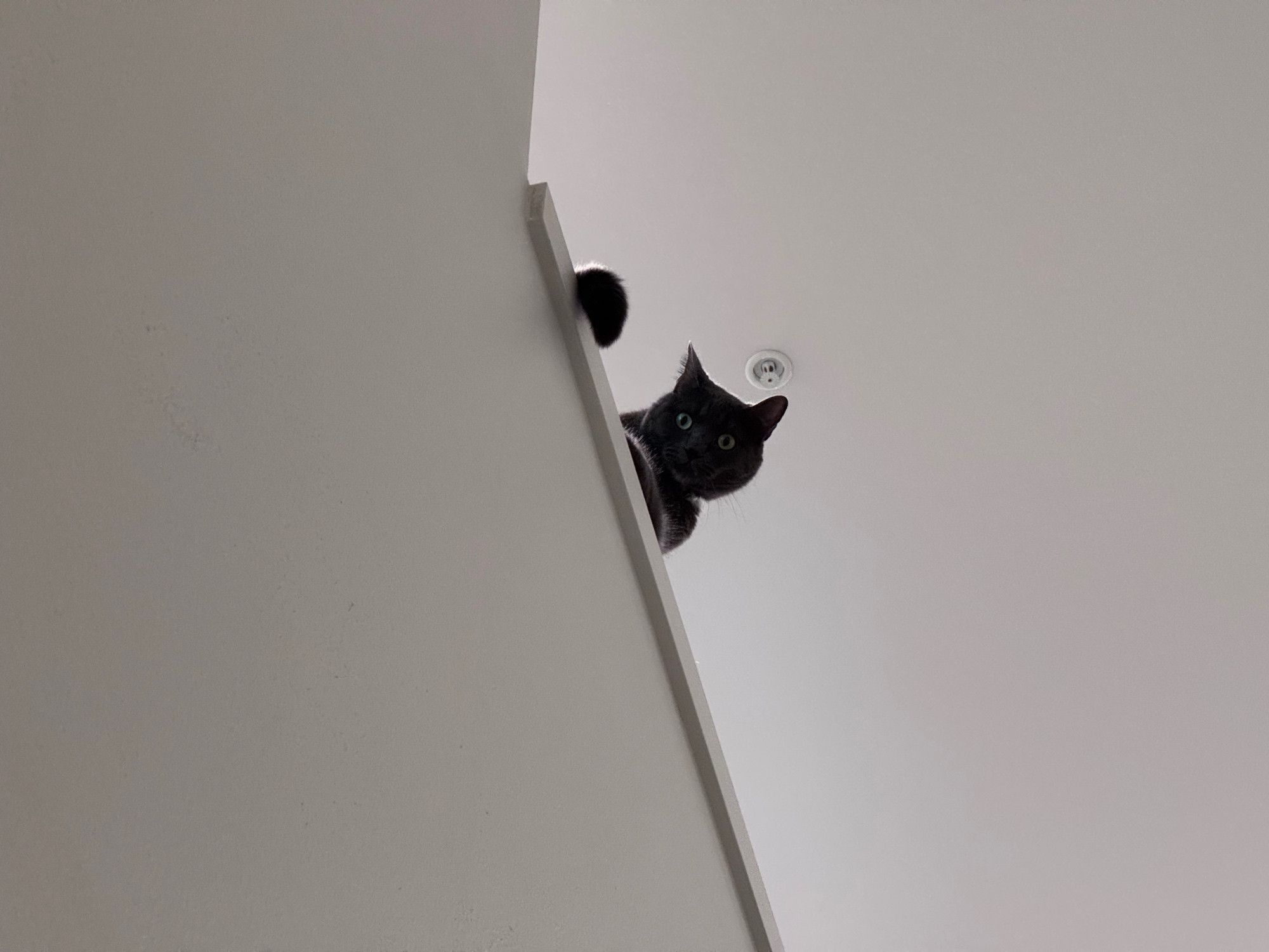 Bluesky Post 2025-08-09