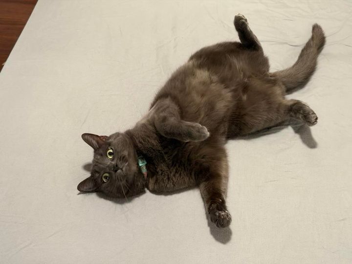 Mastodon Post 2025-12-28