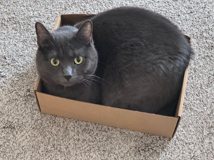 Bluesky Post 2024-06-08