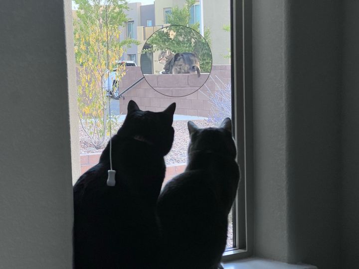 Bluesky Post 2023-10-07