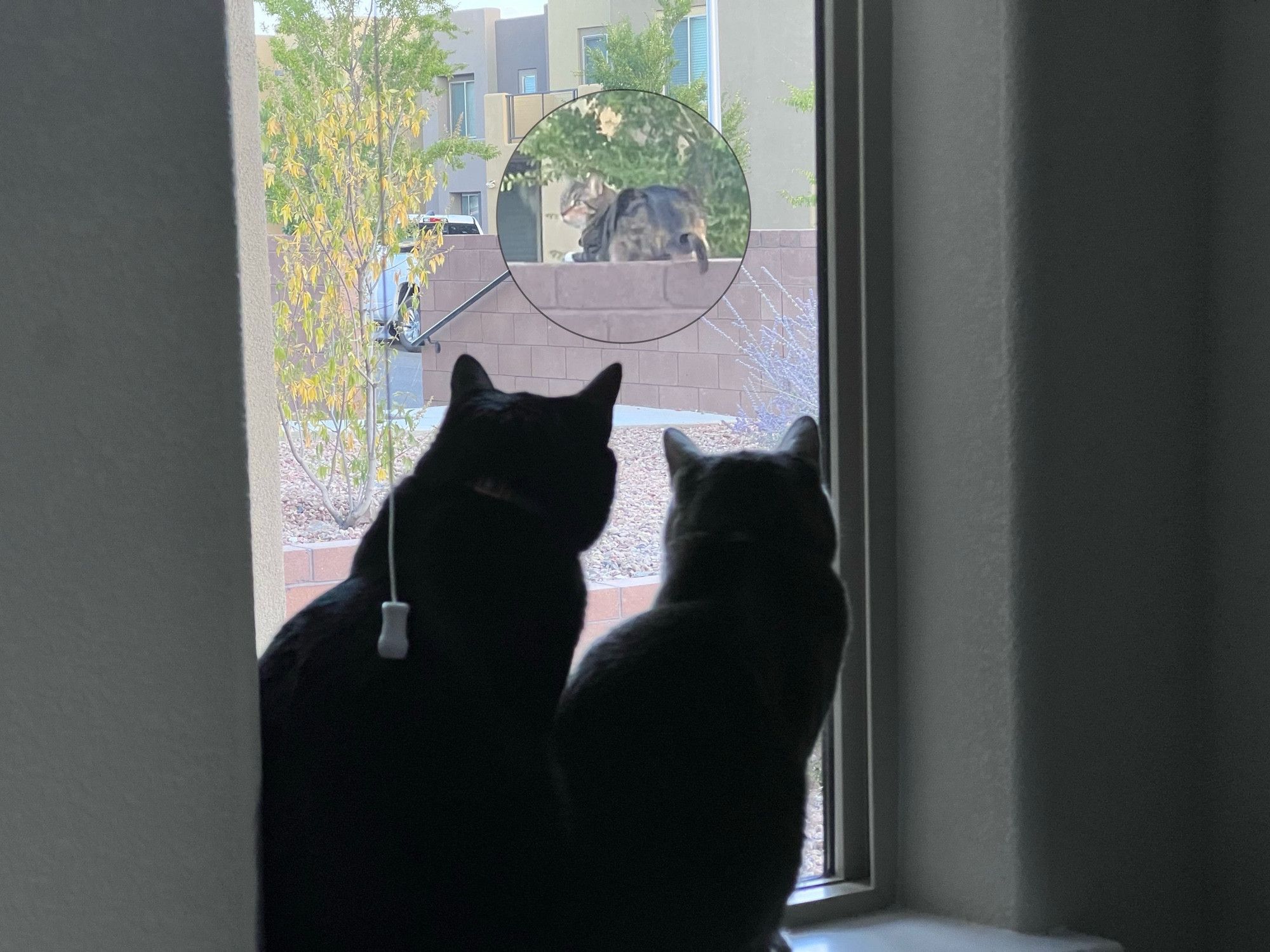 Bluesky Post 2023-10-07