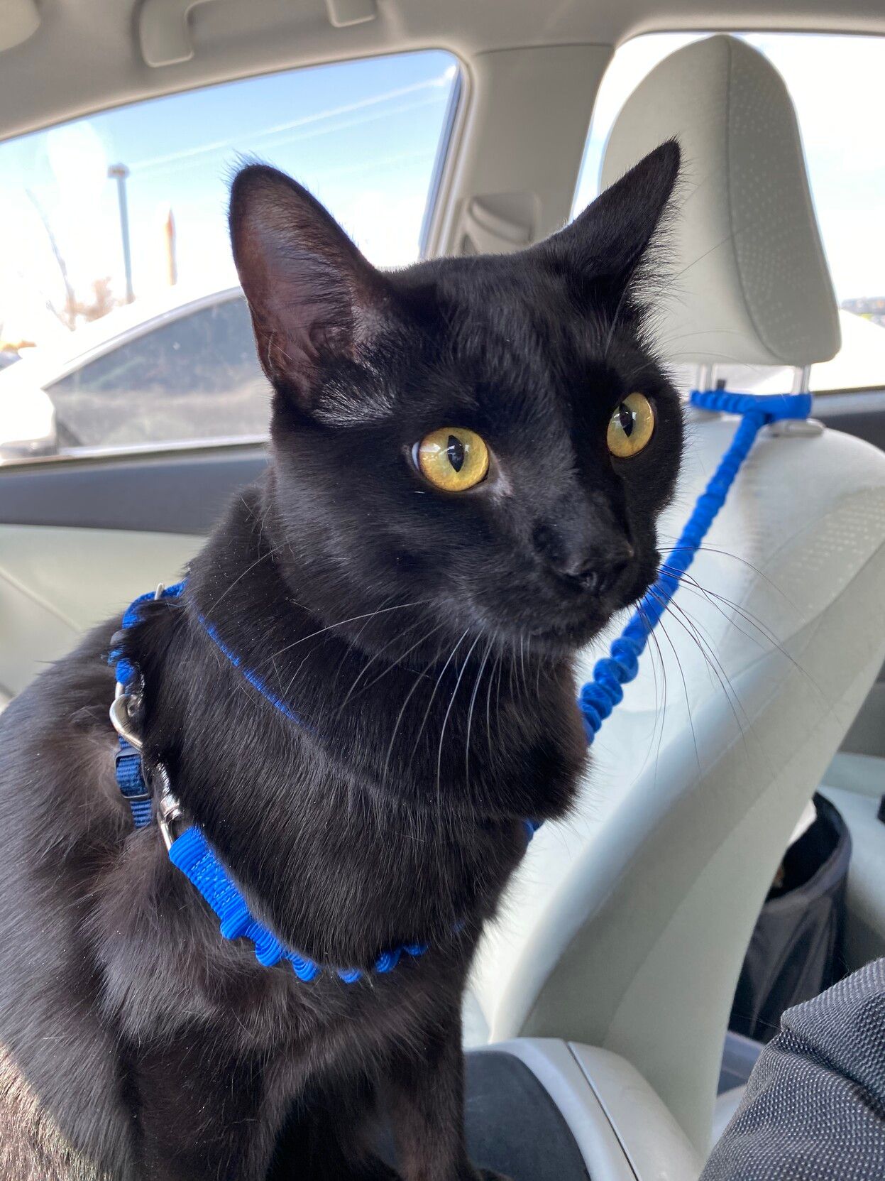 Mastodon Post 2023-07-15