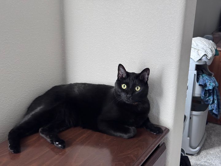 Mastodon Post 2024-12-07