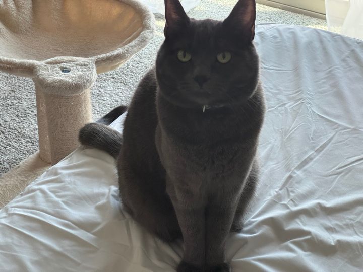 Bluesky Post 2025-05-31