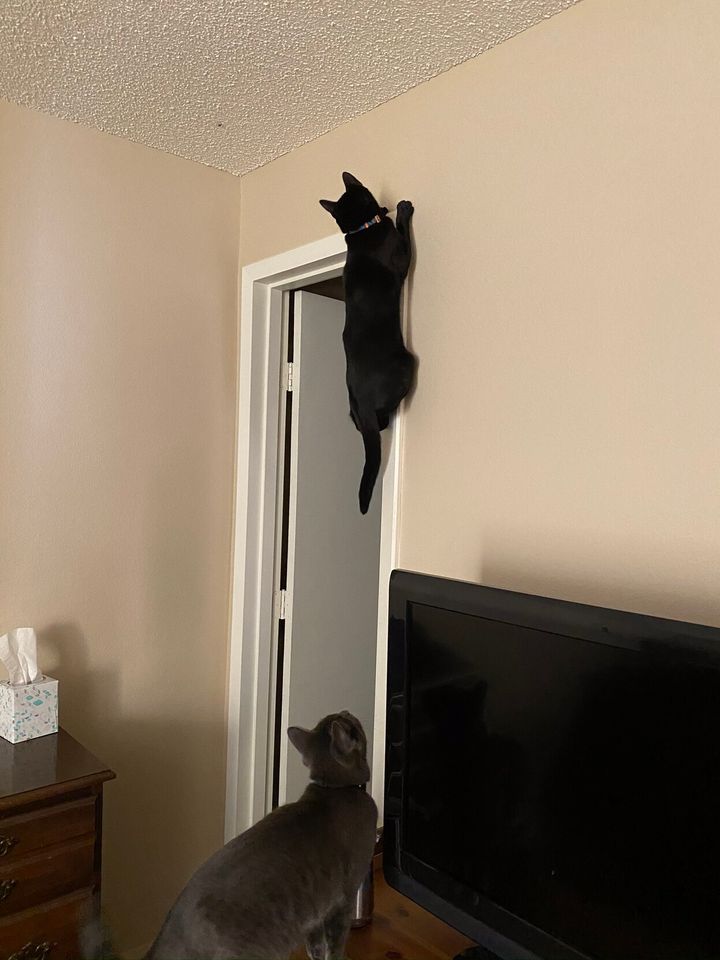 Mastodon Post 2023-08-06