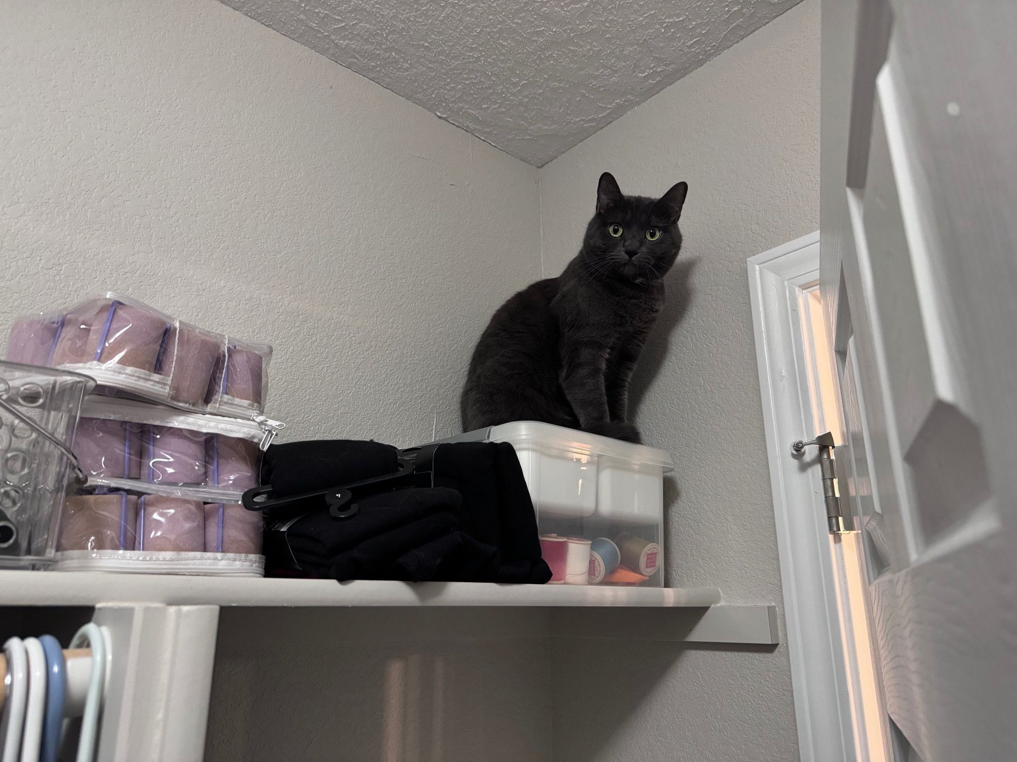 Bluesky Post 2024-07-06