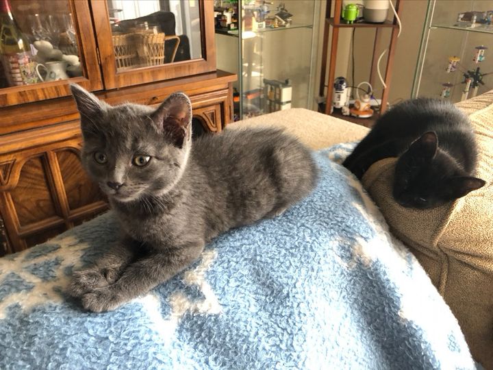 Bluesky Post 2023-07-07