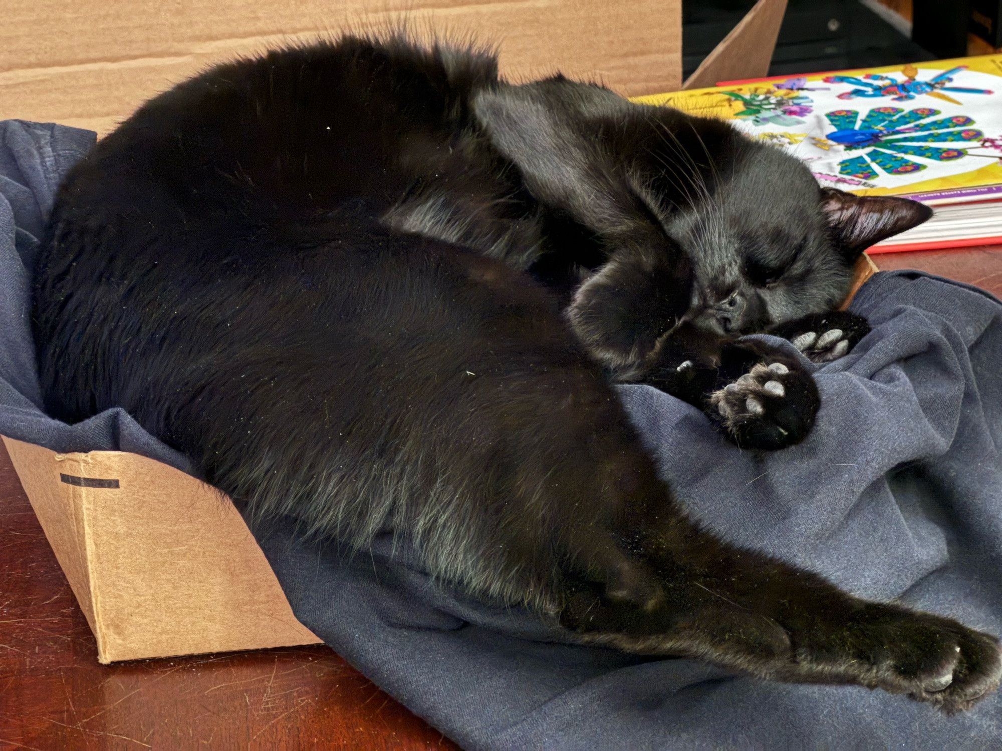 Bluesky Post 2024-07-13