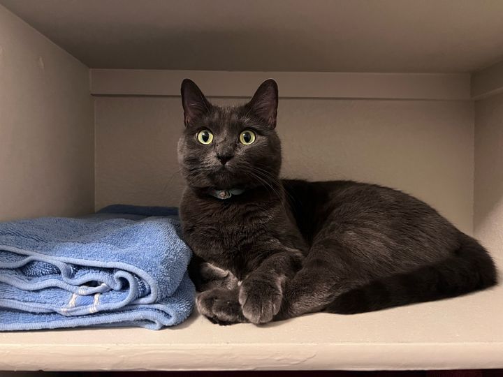 Bluesky Post 2023-10-14