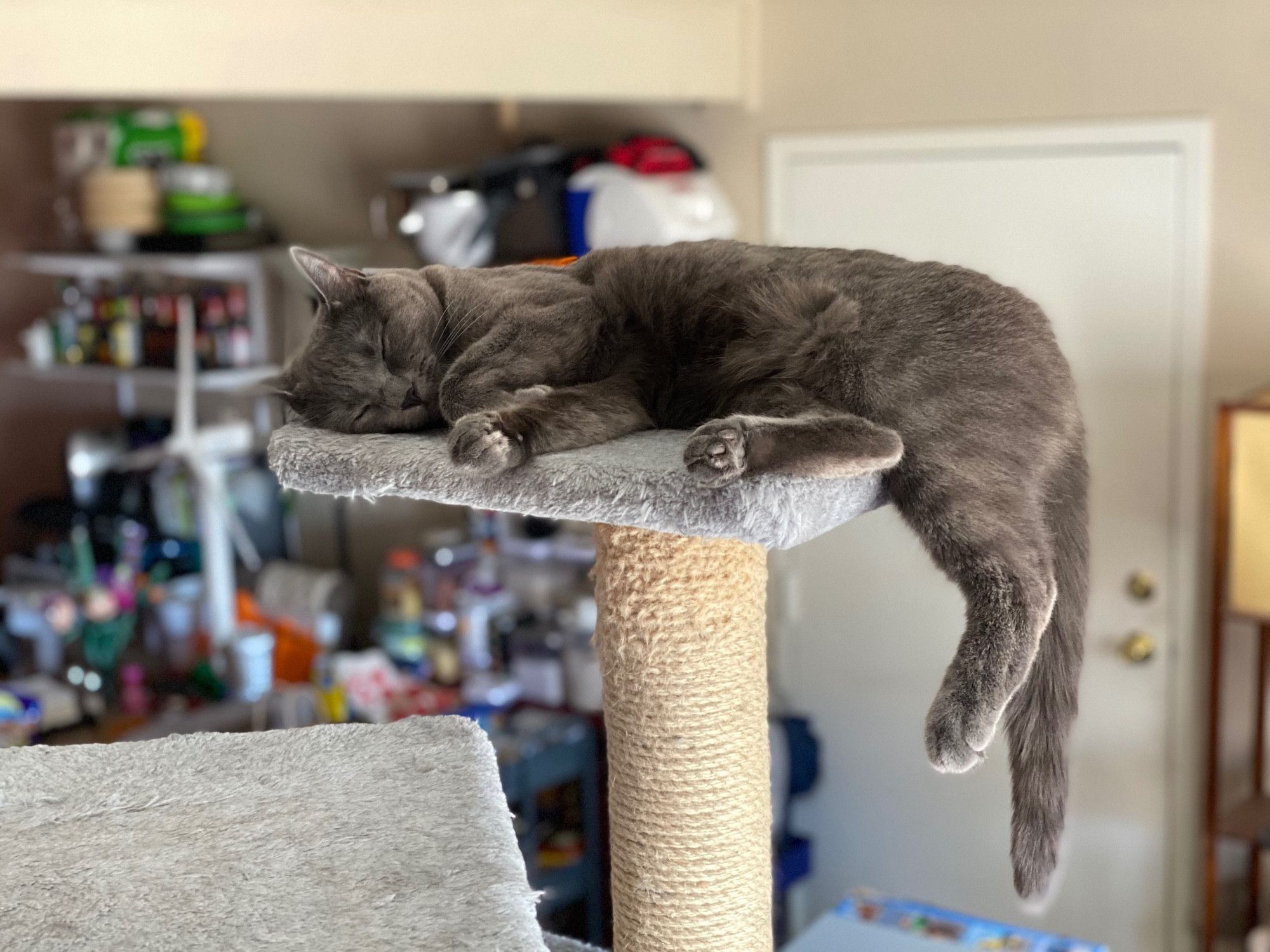 Bluesky Post 2024-10-19