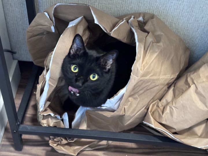 Bluesky Post 2025-08-16