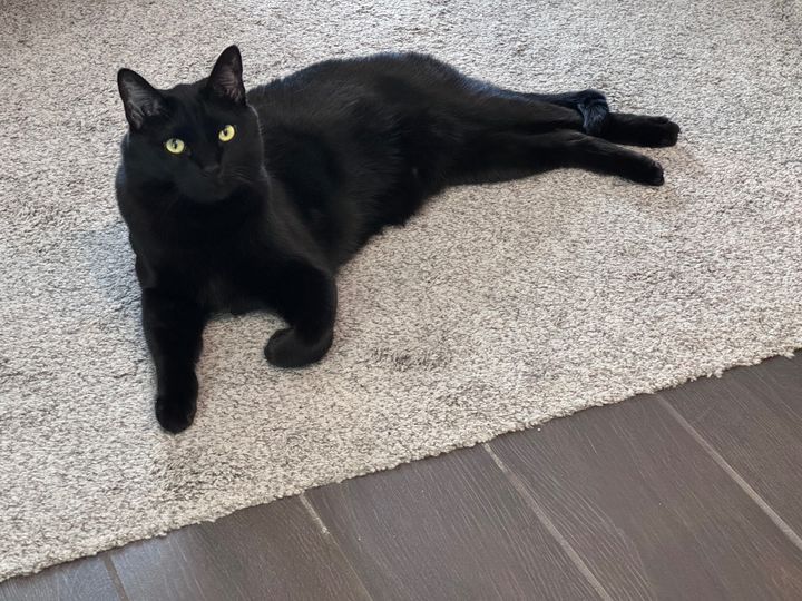 Bluesky Post 2024-08-17