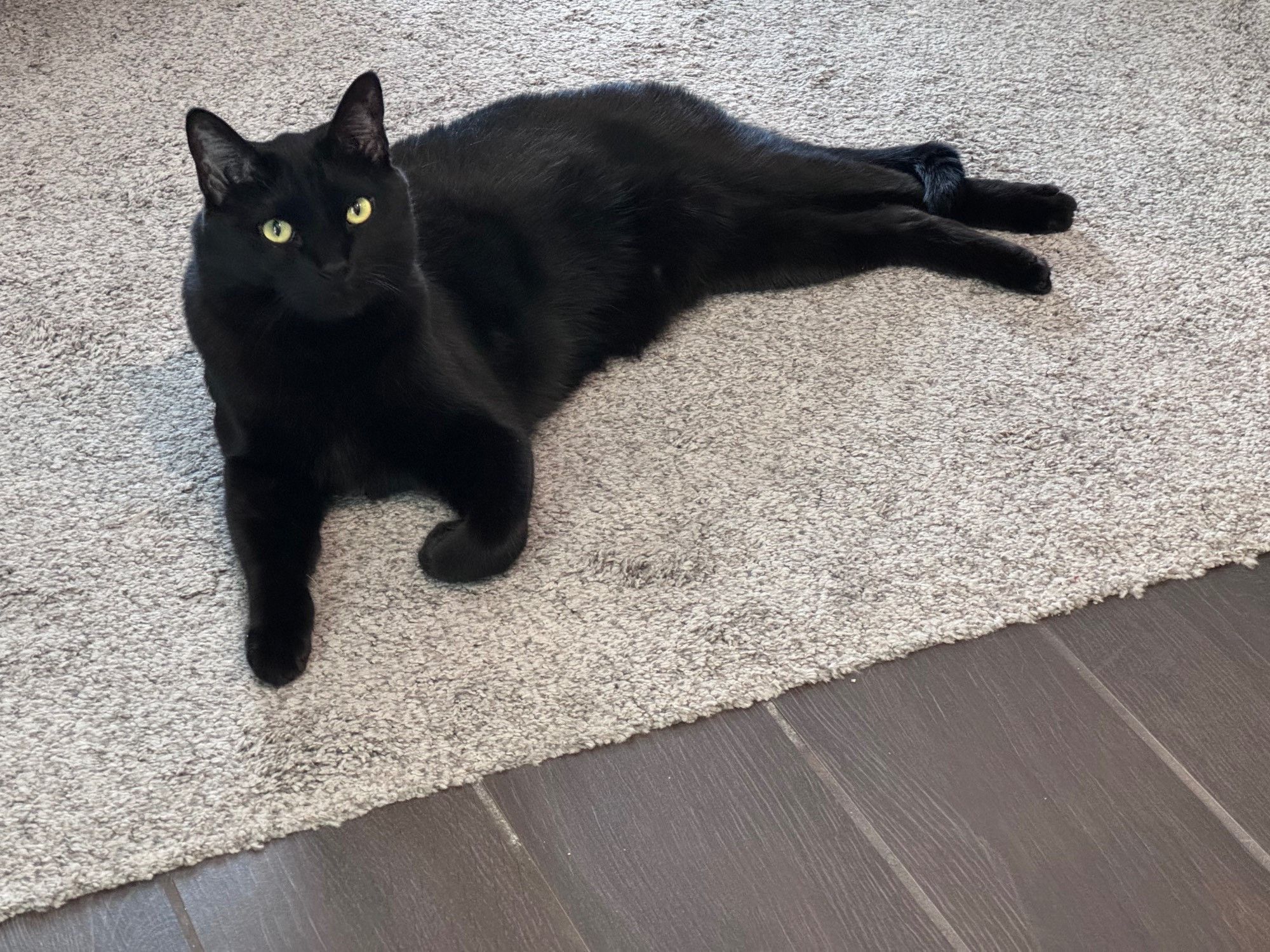 Bluesky Post 2024-08-17