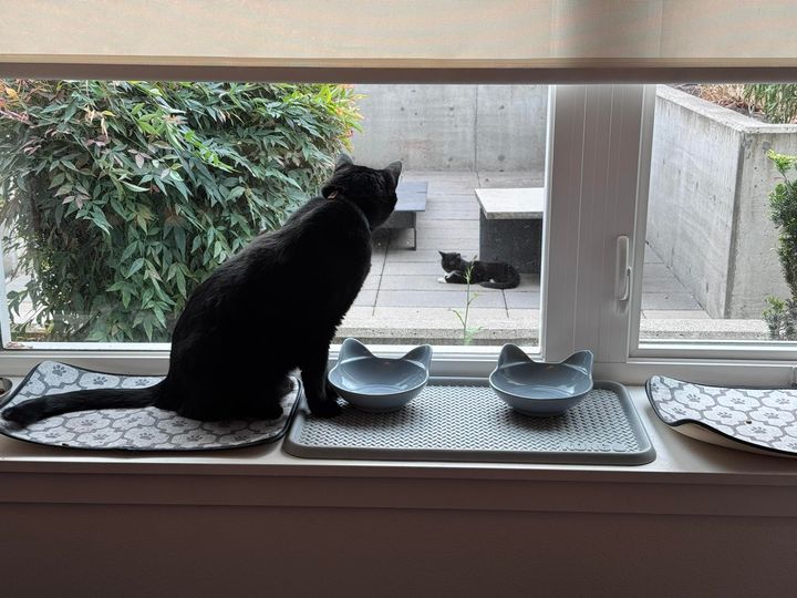 Mastodon Post 2025-08-30